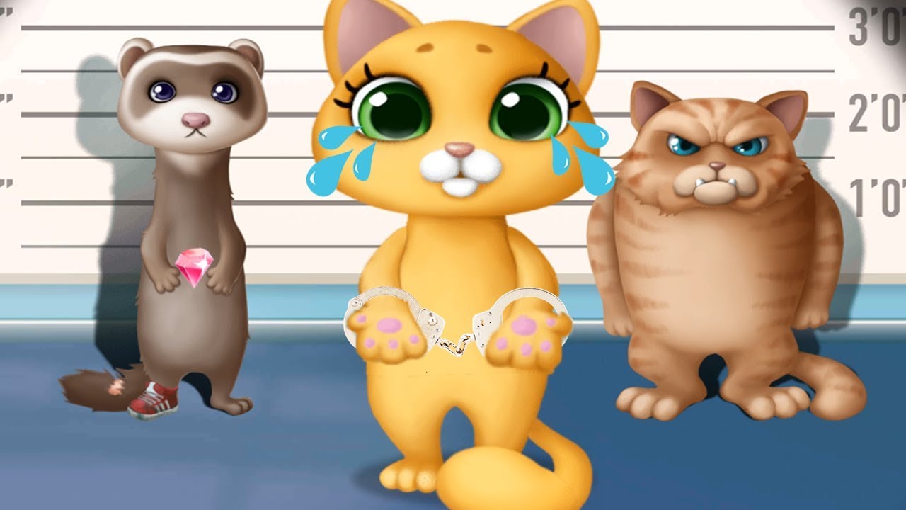 Fun Kitten Pet Care