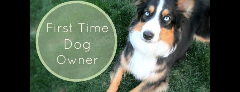 Tips For First Time Dog Owners |Life With Aspen|