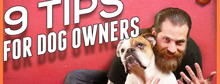 9 Tips for Living With a Dog – Foundations for Dog Owners