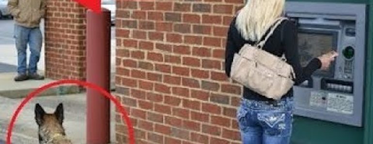 Dogs Protecting Their Owners – Dogs that are better than guns! [ Dog Training ]