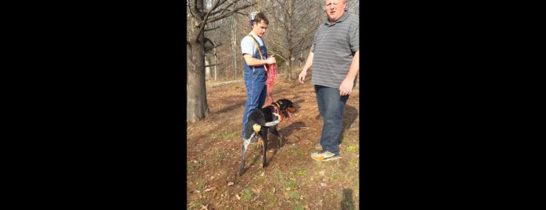 Coon Dog training