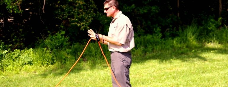 Dog Training with Hand Signals and Casting Techniques