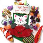 Cat Christmas Gift Set