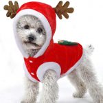 Dog Christmas Clothes