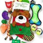 Dog Christmas Gift Set