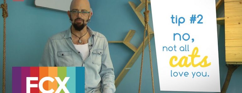 5 Tips From Jackson Galaxy So You Can Has Cat Daddy Skills | 'My Cat From Hell' | FCX