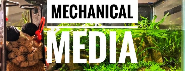 AQUARIUM FILTER HINTS & TIPS! | Mechanical Media=Clear Fish Tank Water