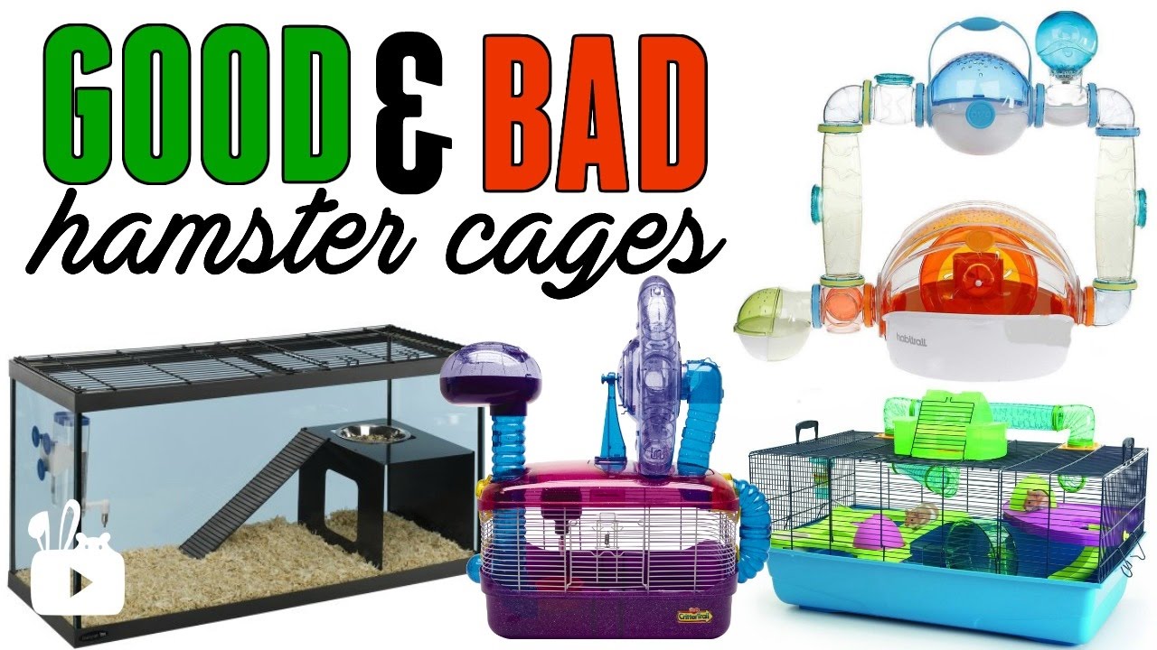 GOOD & BAD hamster cages