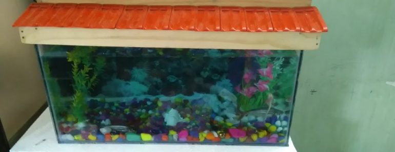 Aquarium (fish tank )::first time setup tips