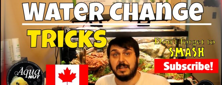 Water Change Tricks, Tips & Planted Aquascape Aquarium Maintenance