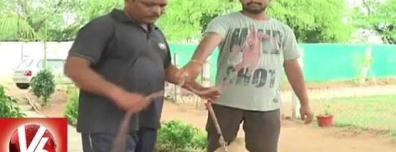 Dog Hostels | Dog Daycare Centers In Hyderabad | Happy Dogs Kennel | V6 News