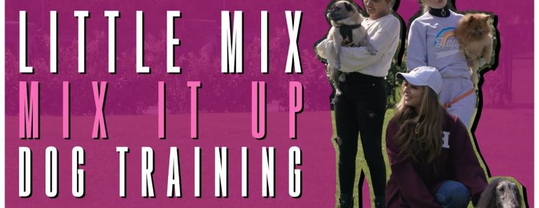 Little Mix – Mix It Up: Dog Training