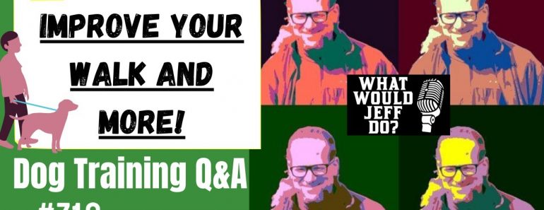 Dog Training Q&A – Improve Your Walk – What Would Jeff Do? Ep.710 (2020)