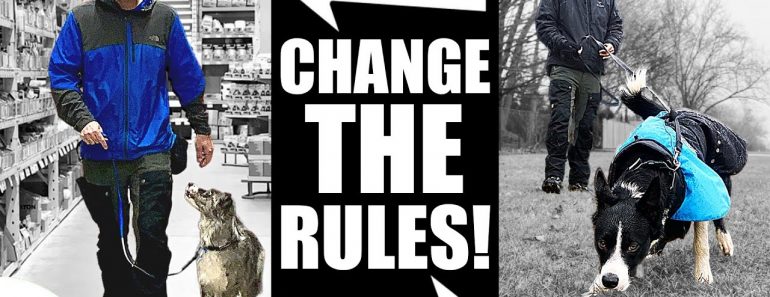 The BIGGEST Mistake People Make When Leash Training A Dog