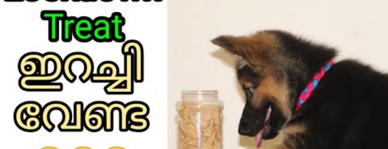 അടുത്ത treat 😋😋 : dog treat – 4 : kerala dog training : വളര്‍ത്തു നായയെ പരിശീലിപ്പിക്കാം : LazeMedia