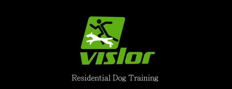 Residential Dog Training, Dog Boot Camp with Travis Foster, Vislor.
